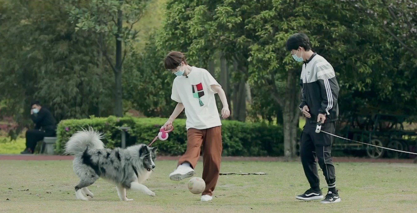 朱正廷送张雨剑礼物,朱正廷张雨剑汪喵物语