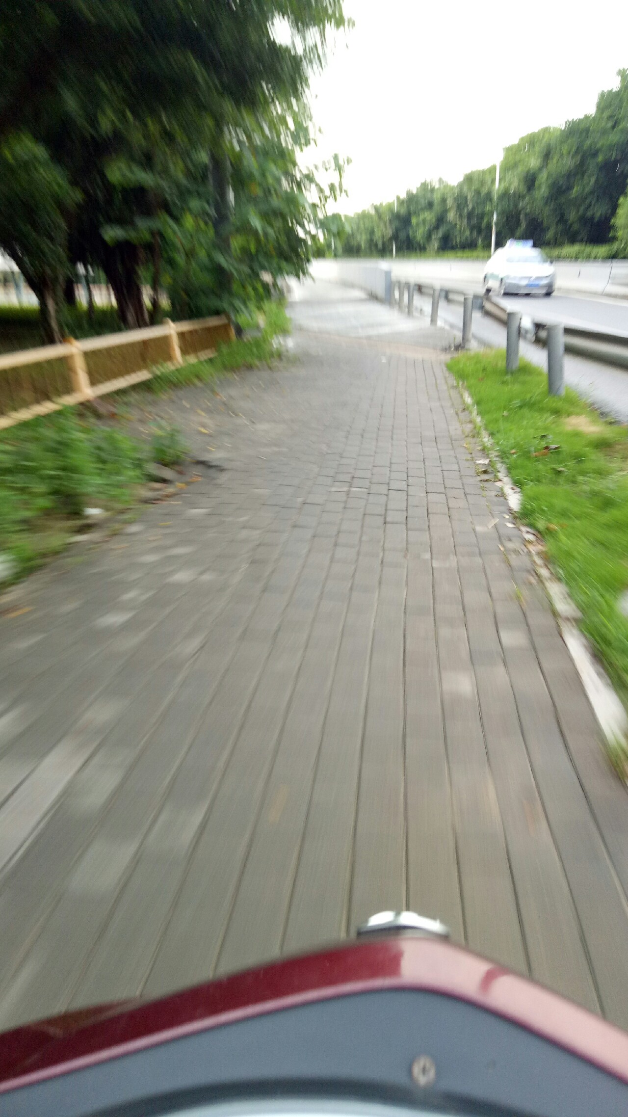 乌龙江野钓,乌龙江有什么鱼钓