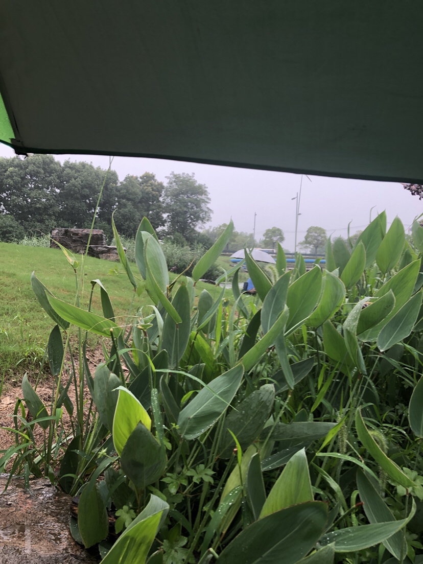 野钓偷瞄隔壁老师傅，没有对比就没有伤害