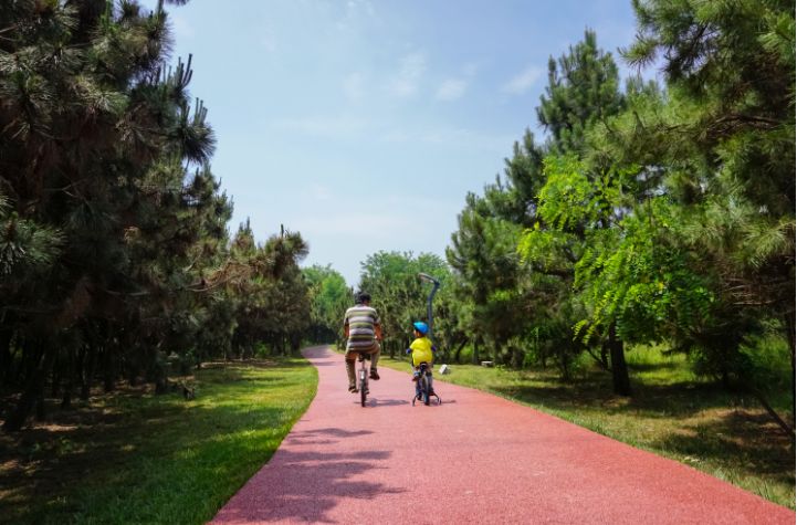 日照最美的区县,日照城市真美