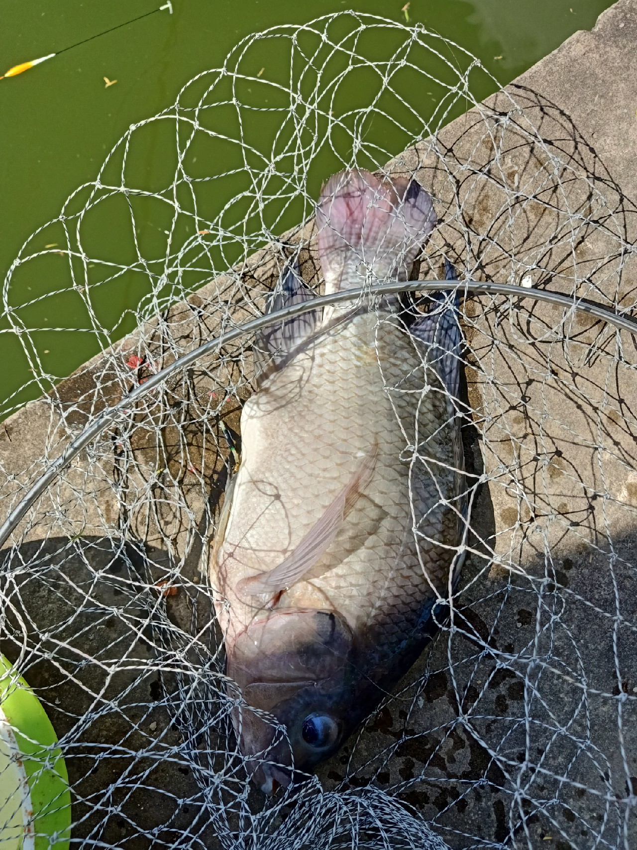 开局即是巅峰第6集,开局即巅峰完整版