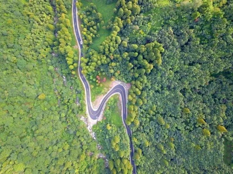 夏日避暑胜地高铁直达,坐动车可直达哪些地方避暑