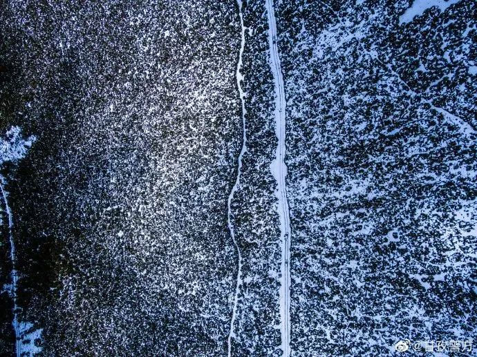 他们不是山神，却是虫草山上的守护神！