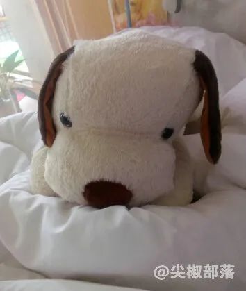 工厂女孩的心酸,工厂人流