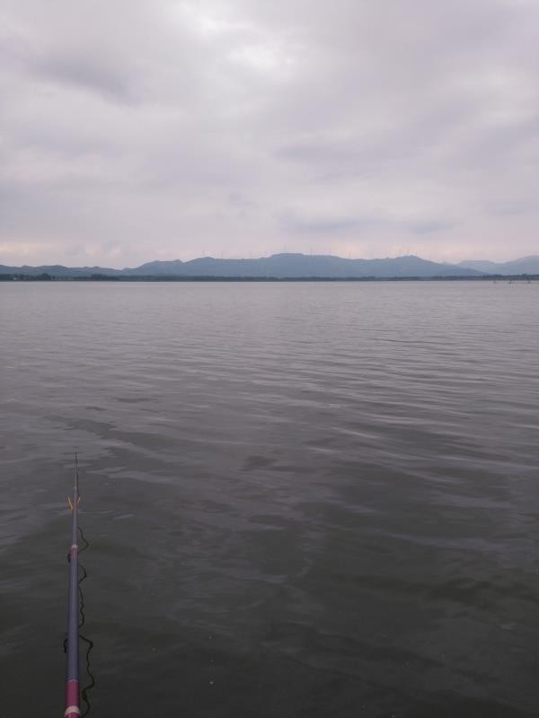 矶竿滑漂钓鱼效果如何,矶竿滑漂远投钓鲫鱼用什么饵