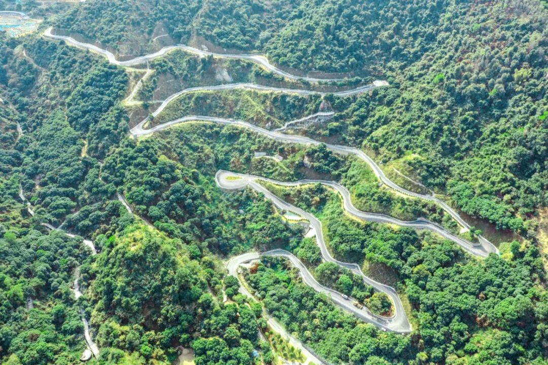 深圳市最新步道,深圳十佳绿道