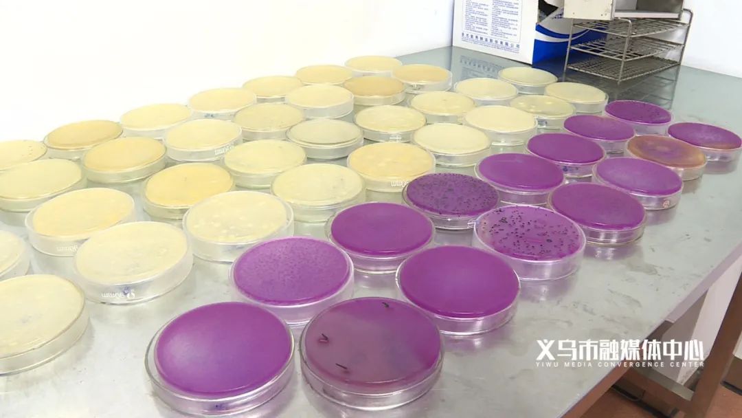 熟食细菌,熟食细菌滋生的条件是什么