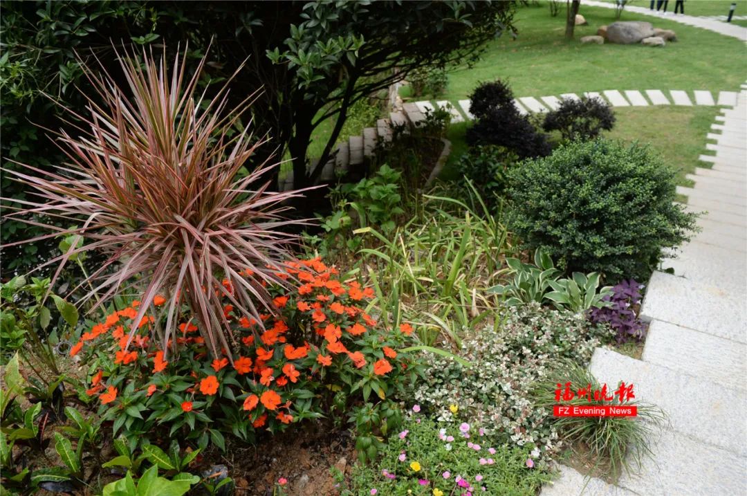 即将亮相福州这所公园大升级,福州最新的公园