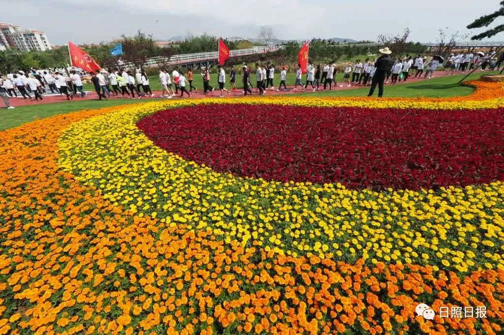 活力奔涌！今天，他们在阳光海岸绿道骑行健步