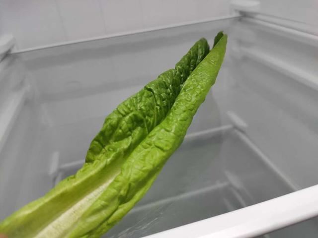 美的472升冰箱真实评测,美的519升冰箱功率大吗