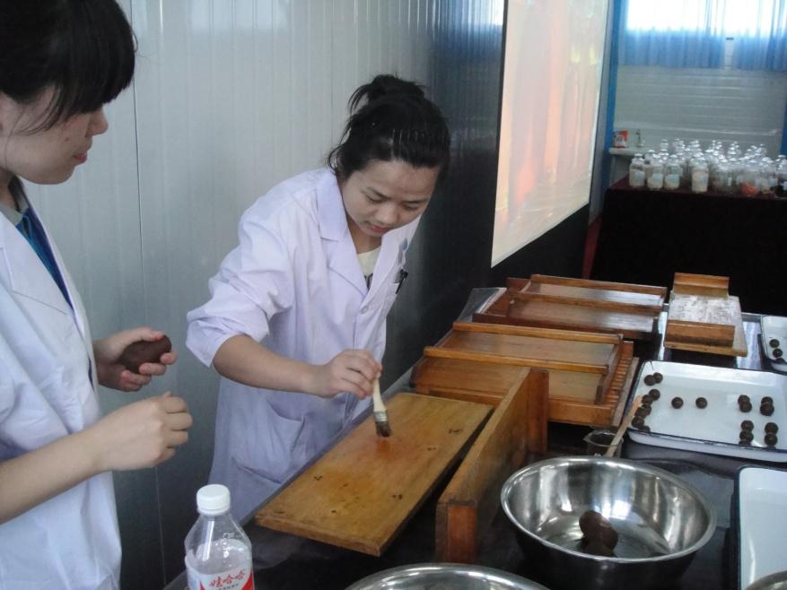 专业介绍中药学河北中医学院,中药学专业招聘