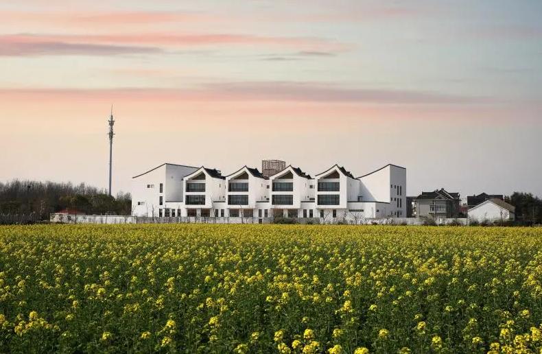 上海宝山：找准产业定位，寻求差异化发展，都市乡村振兴之路越走越宽