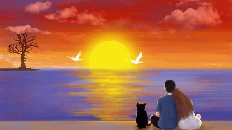 夜读人生相遇靠缘分相守靠人心,夜读最好的相伴就是彼此温暖