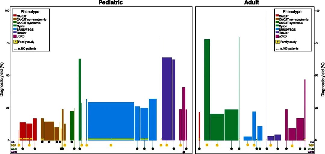 col4a5基因怎么检测,col4a5基因突变严重吗