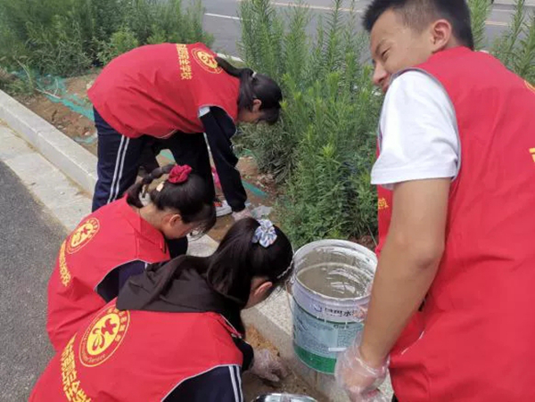 美化环境志愿者,美化校园志愿者