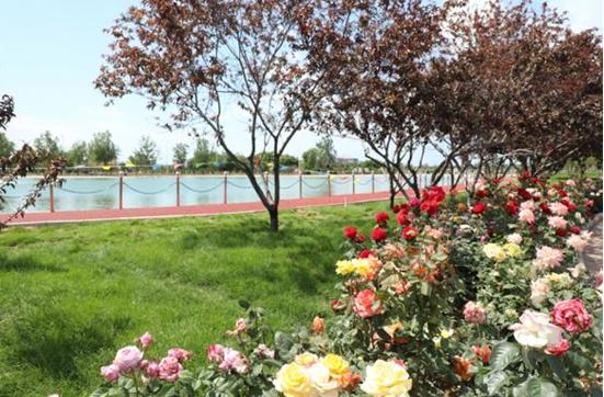 石家庄机场夜晚飞机起飞,石家庄机场大屏