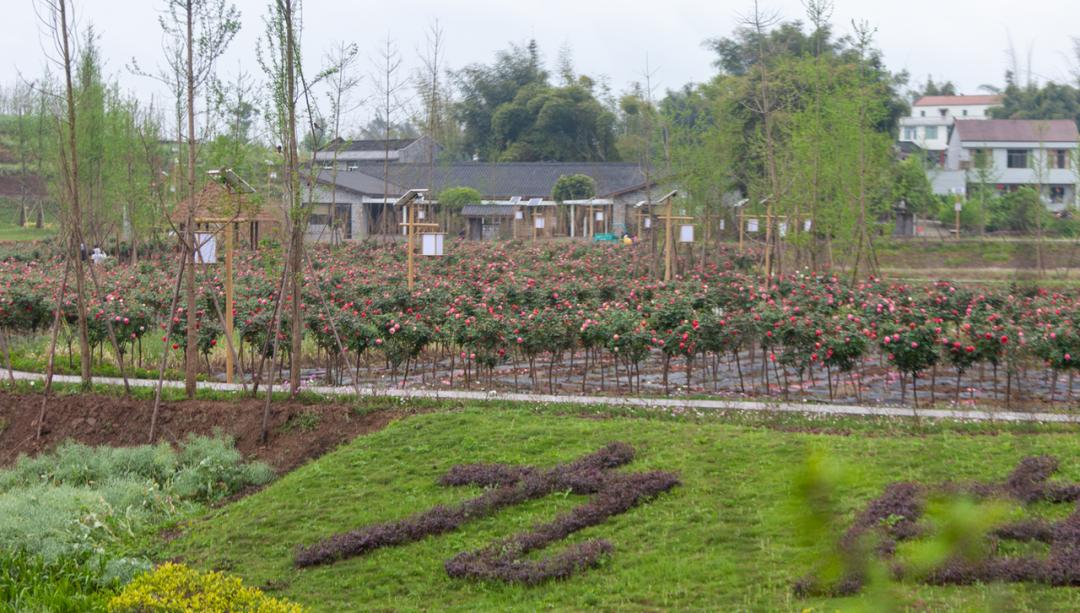 竹山旅游线路大全,竹山周边一日游旅游景点推荐