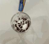 让蟑螂来一只死一窝的方法,蟑螂克星一窝端