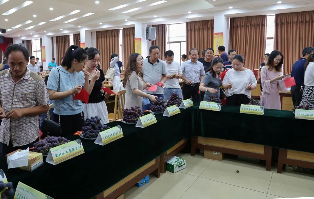 慈溪巨峰葡萄哪家强？这些农场和合作社获奖啦