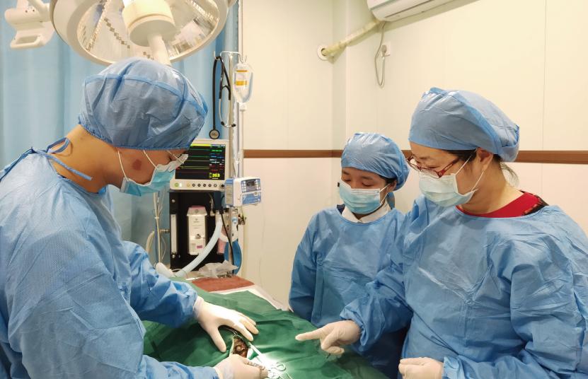 嘉兴职业技术学院2019招生简章,嘉兴职业技术学院2018招生简章