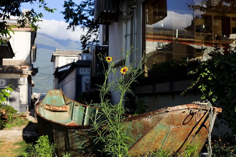 染了彼此乡愁，从此长途跋涉