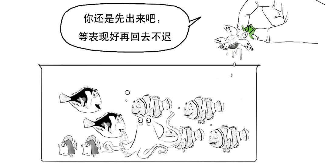 上证指数30分钟结构图解,怎么样才能看懂上证指数