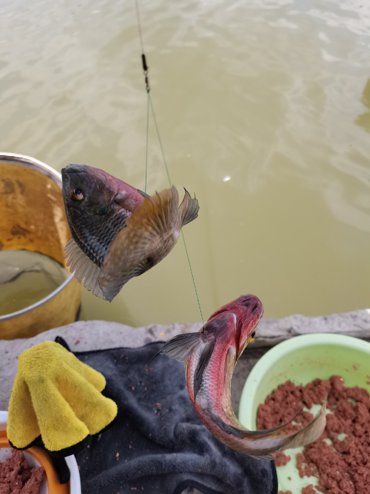 手持两米七神戟，瞎搞高田坑一天