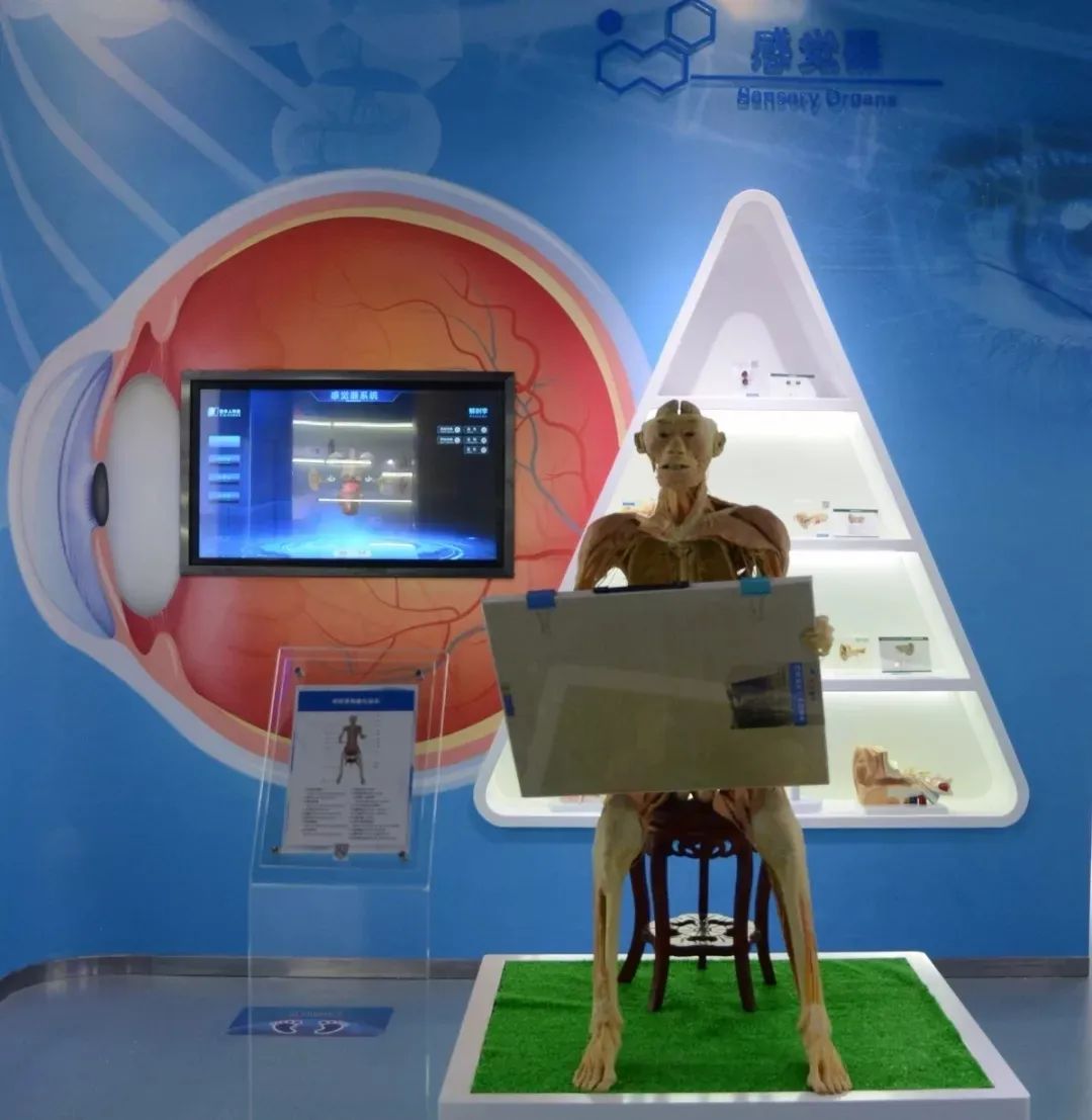 湖北医药学院有单招吗,湖北医药学院报名需要什么