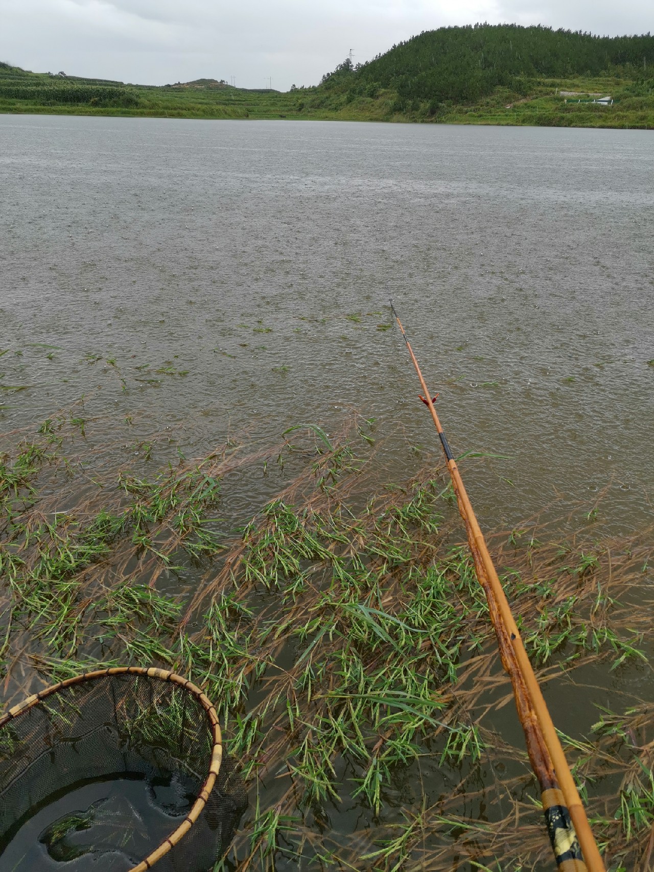 玩了多年的并继和碳素竿,总是在不断的折腾和寻找