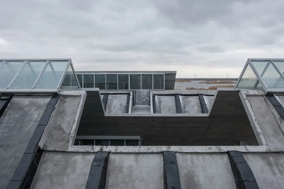 探索崇明东滩湿地公园的奥秘,崇明东滩湿地科研中心