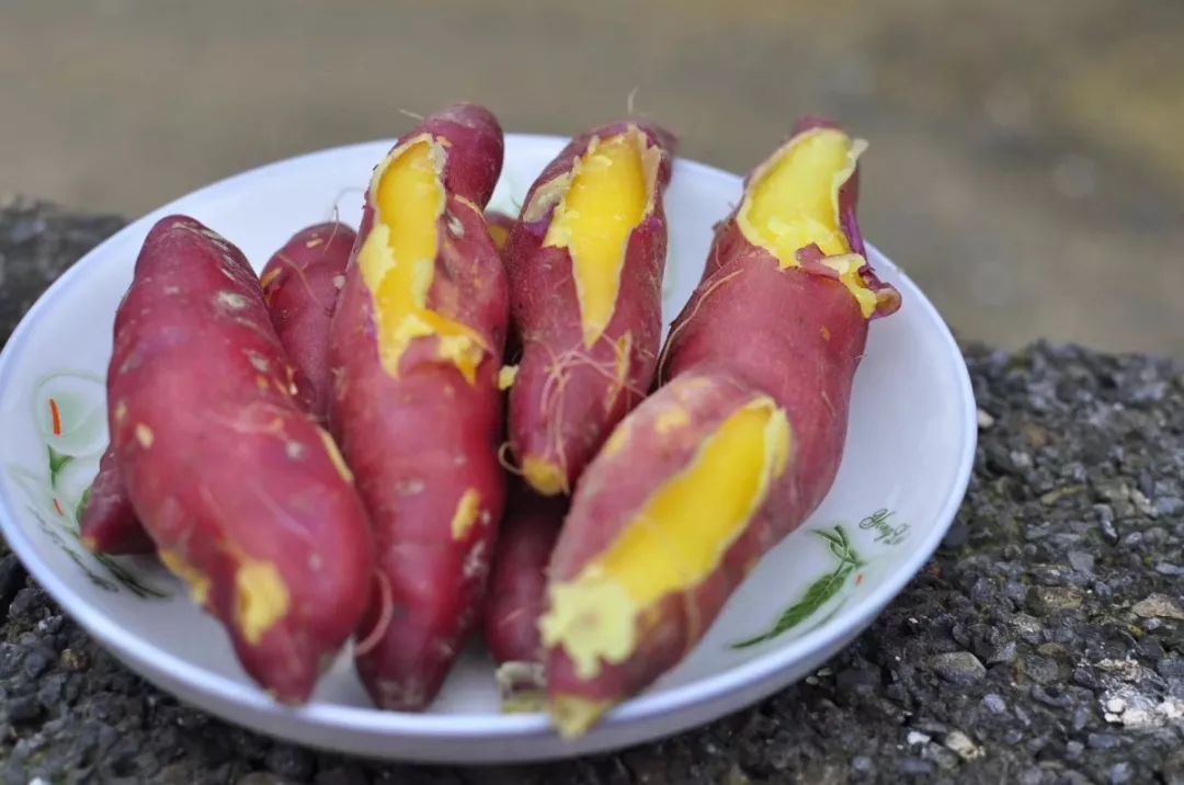 临安天目山小香薯粉糯香甜,天目山小香薯新鲜现挖