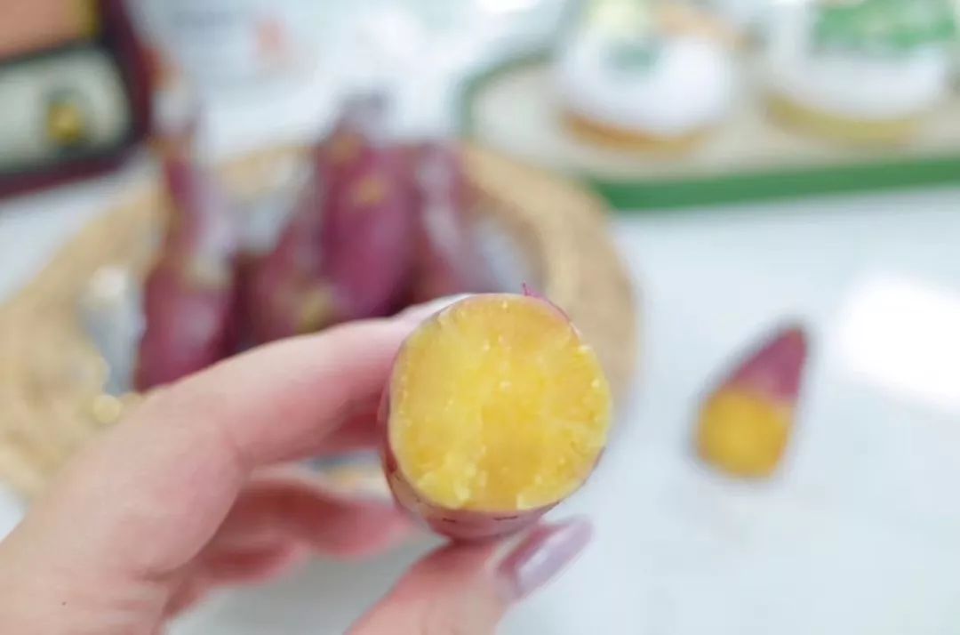 临安天目山小香薯粉糯香甜,天目山小香薯新鲜现挖