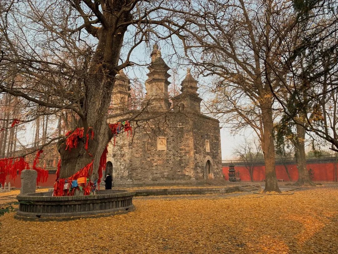 谢邀的英文,谢邀古诗词