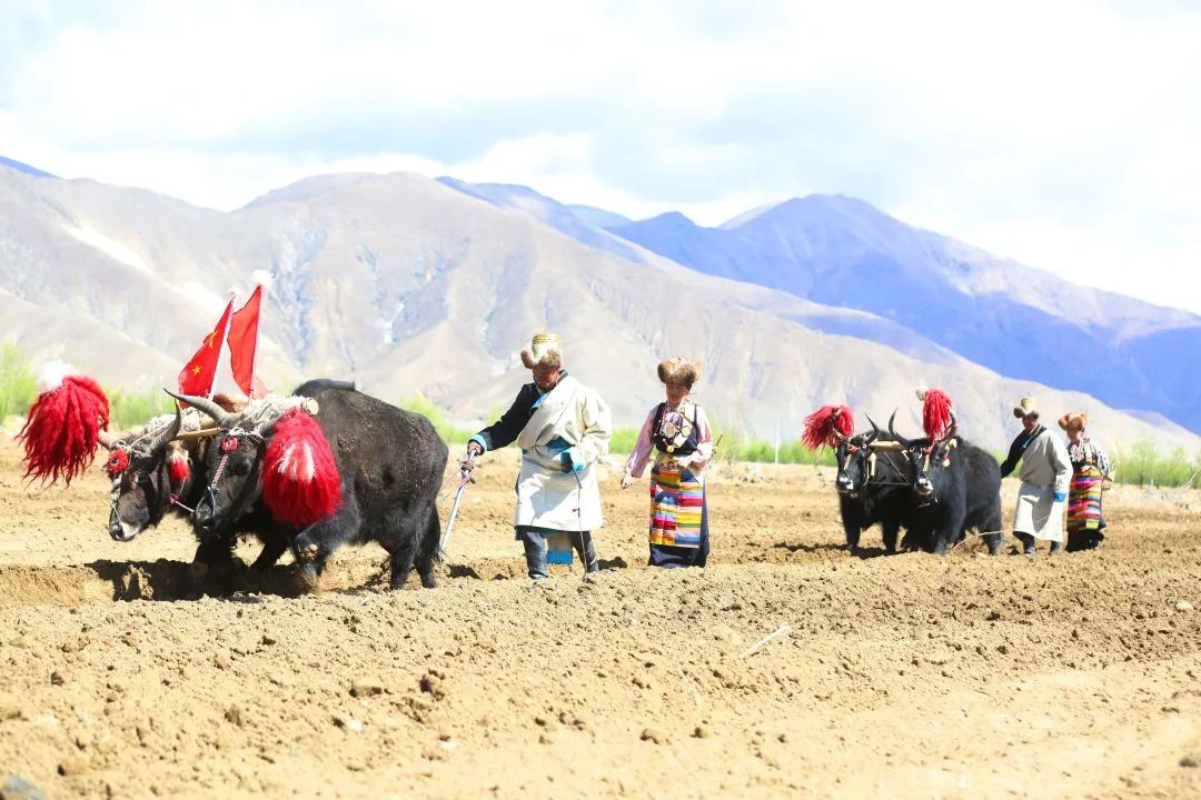 种草自然堂喜马拉雅,以自然之名