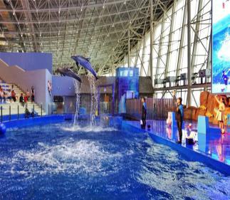 威海市刘公岛夏令营,刘公岛海军夏令营