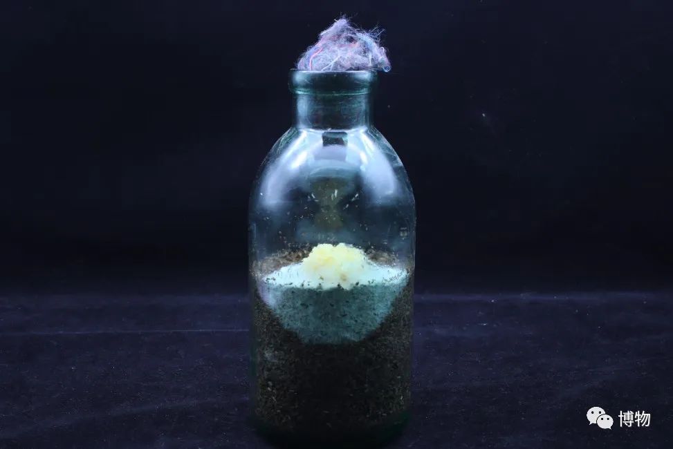 银耳在解放前的价格,银耳的巅峰之作