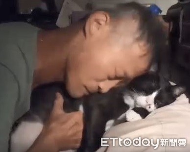 阿公埋进整张脸“深情狂撸” 猫孙被吸到生无可恋:够了没