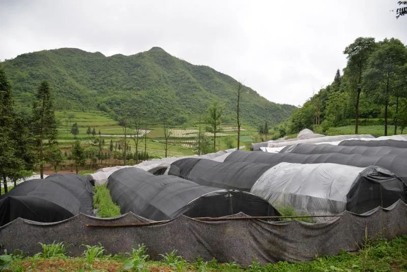 扶贫故事纪录片,扶贫故事两千字