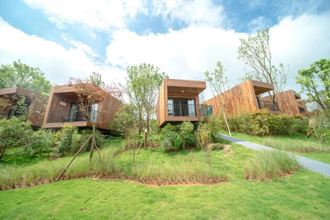 成都彭镇老茶馆,成都彭镇老茶馆打卡地点