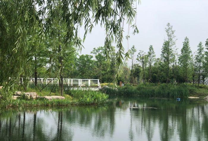 长沙哪里有可以玩沙子的地方,不去海边