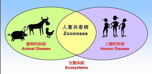 现挤鲜羊奶很容易感染什么病,现挤的羊奶有什么病毒