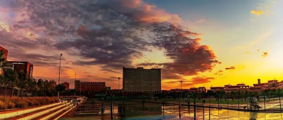 「专科志愿指导」北京城市学院：专科批次3个专业招生——护理、学前教育、空中乘务（民航服务）