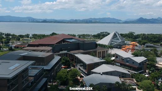 LOOK|欢乐海岸·第9年