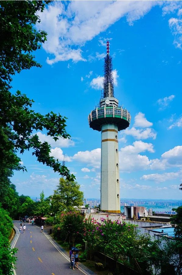 缇庡憜鑻辨枃,缇庡憜