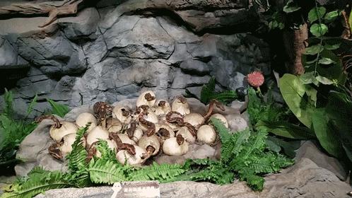 长隆乐园欢乐世界,广州长隆游玩注意事项