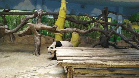 长隆乐园欢乐世界,广州长隆游玩注意事项