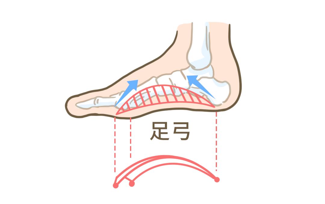 总嚷嚷走不动的人，可能是脚没长对