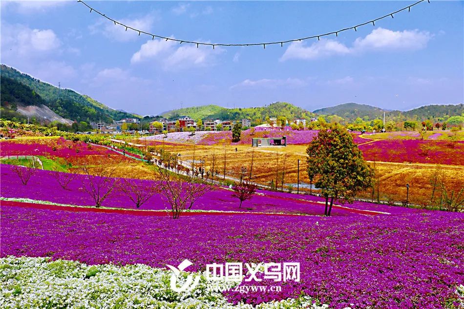 义乌最漂亮的风景,义乌周边哪个风景好一点