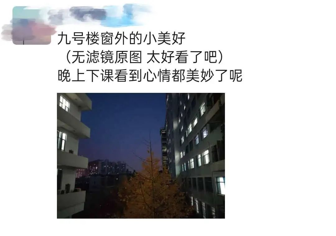 在华师可以学什么,在华东师大读书的体验