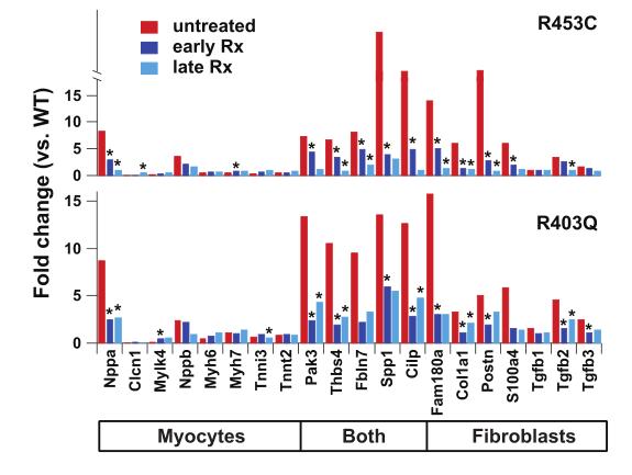 肥厚型心肌病特效新药强势来临：Mavacamten的前世、今生和未来｜安贞心语